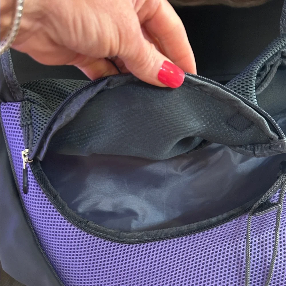 New Purple and Gray Dog Carrier.